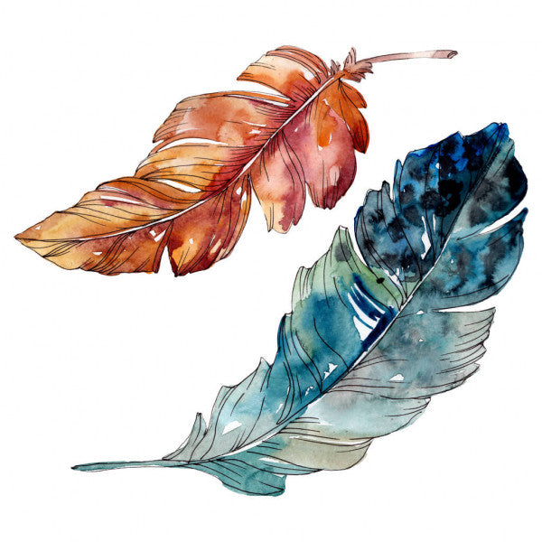 Square Canvas Blue & Brown Feathers Art High Quality Print 100% Australian Made