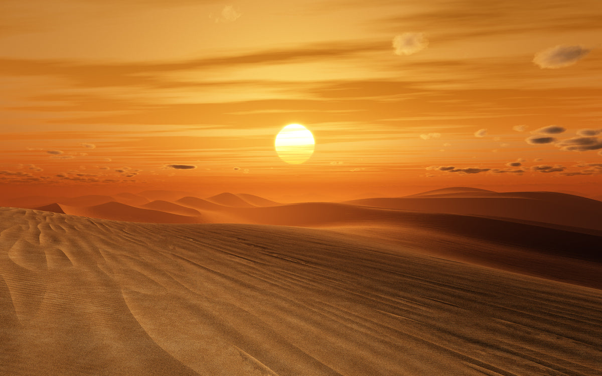 Desert Sunset Scenery Photograph Print 100% Australian Made