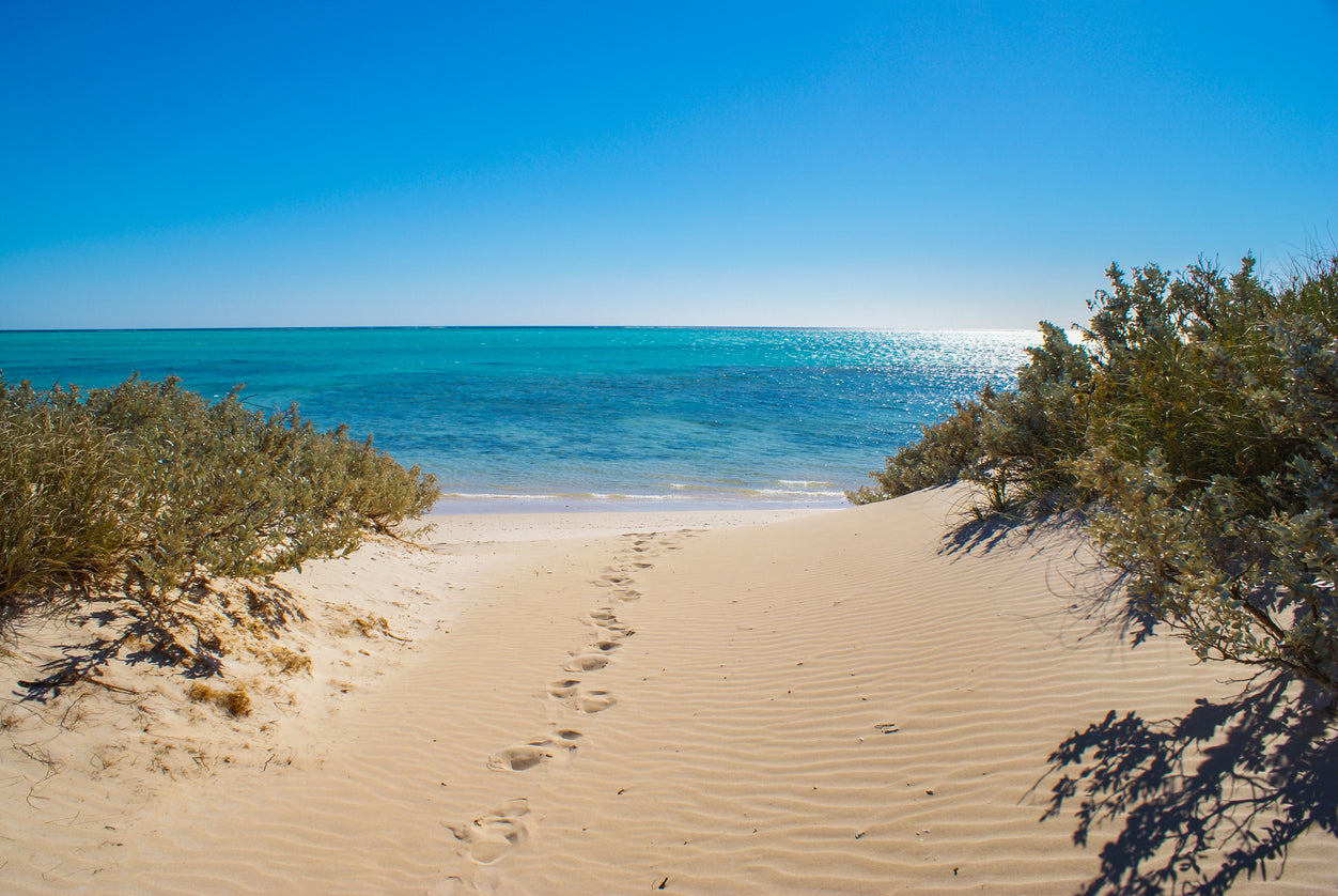 Sand Foot Steps to Sea Photograph Print 100% Australian Made