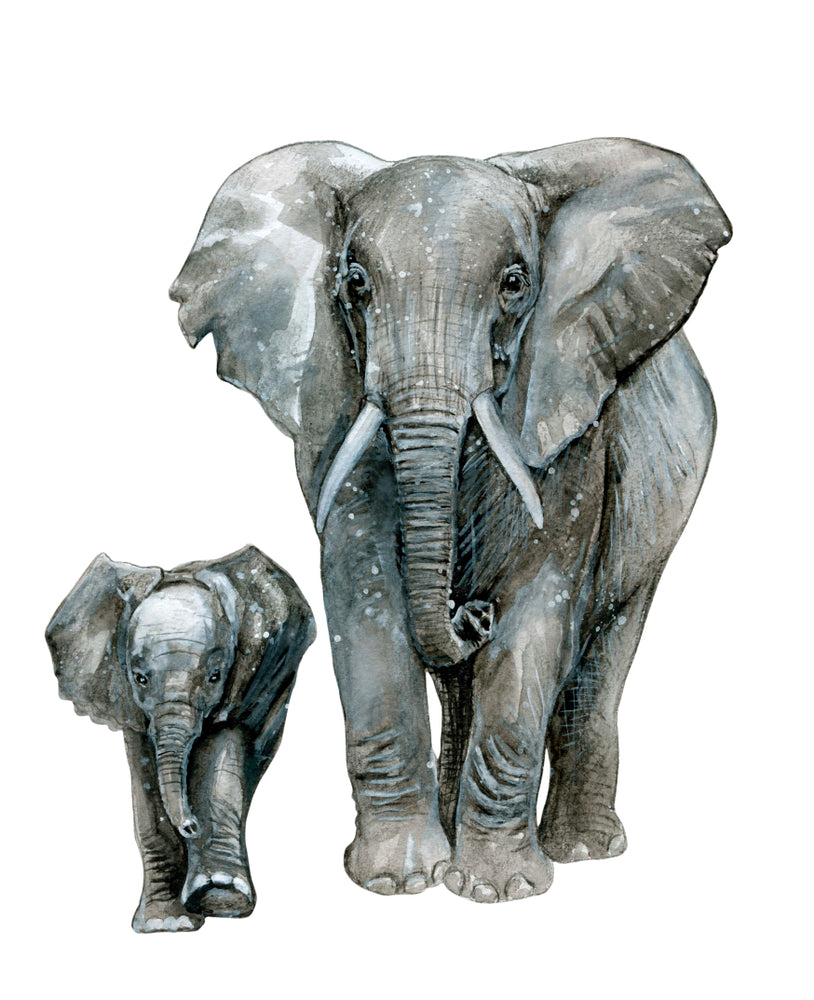 Elephant & Calf Watercolor Painting Print 100% Australian Made