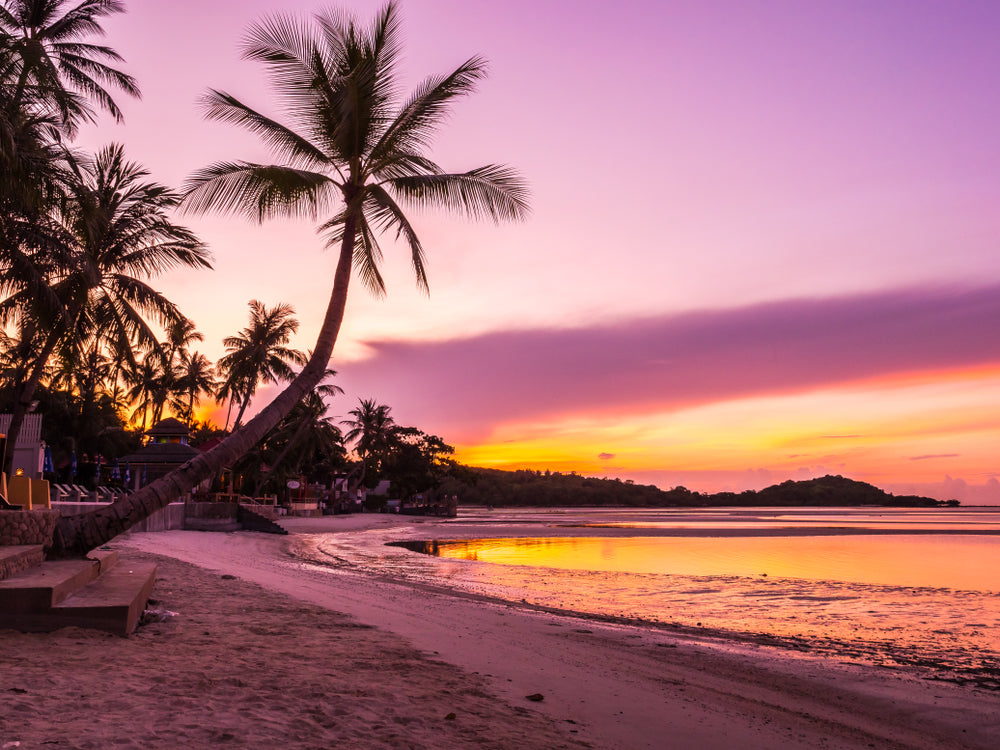 Stunning Sunset Beach View & Purple Sky Photograph Print 100% Australian Made