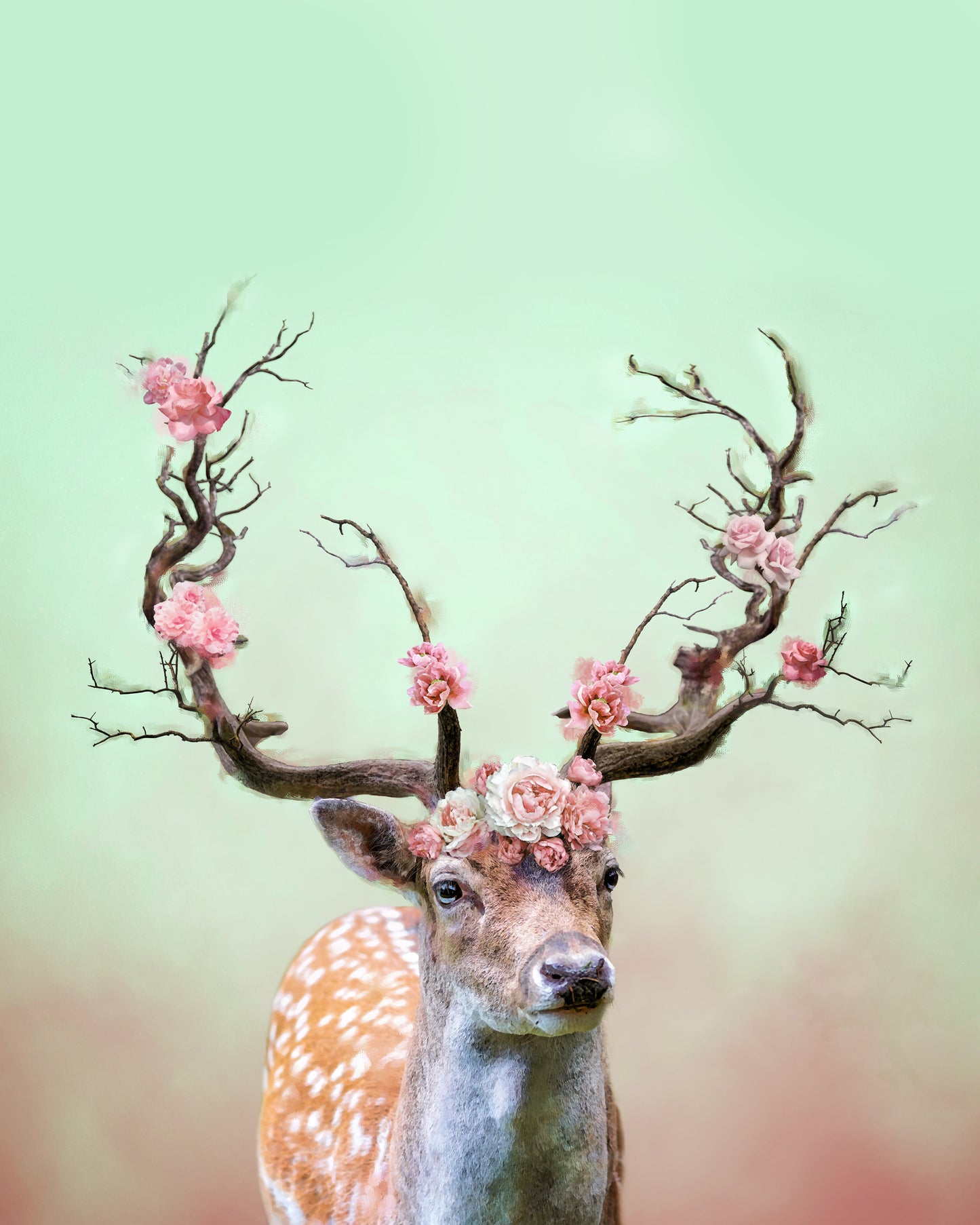 Deer with Floral Antler Print 100% Australian Made