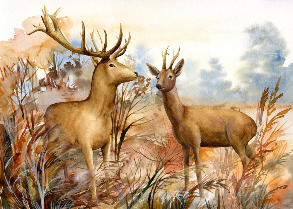 Two Deer in the Forest Watercolor Painting Print 100% Australian Made