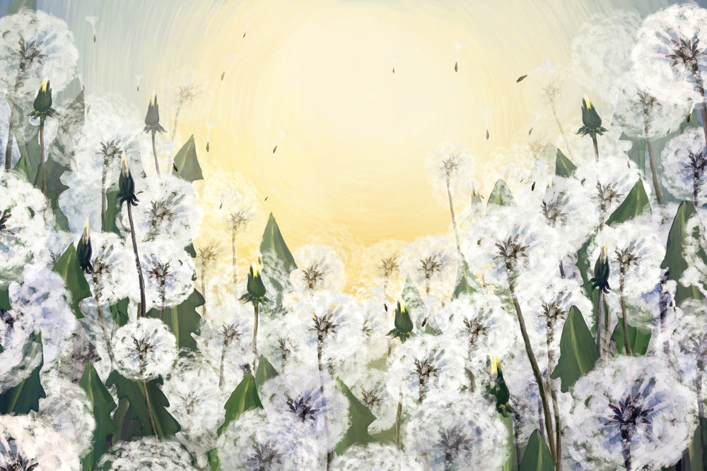 Dandelion Flowers Watercolor Painting Home Decor Premium Quality Poster Print Choose Your Sizes