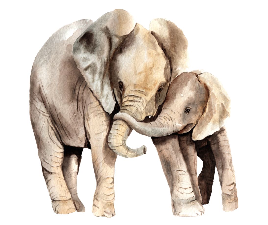 Square Canvas Elephants Watercolor Painting High Quality Print 100% Australian Made