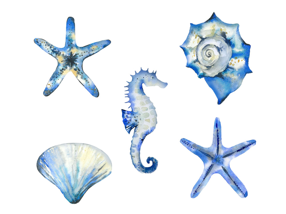 Sea Animals Watercolor Painting Home Decor Premium Quality Poster Print Choose Your Sizes