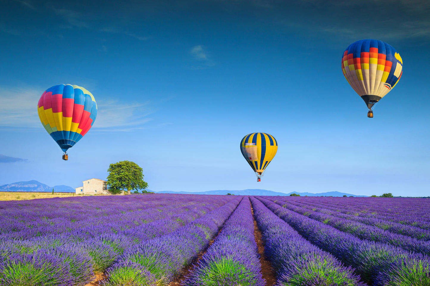 Hot Air Balloons Floating on Lavender Field Photograph Print 100% Australian Made