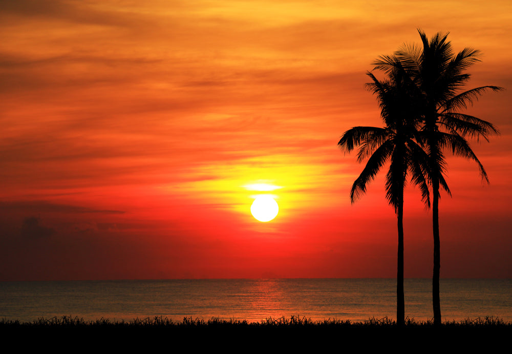 Stunning Sunset View Print 100% Australian Made