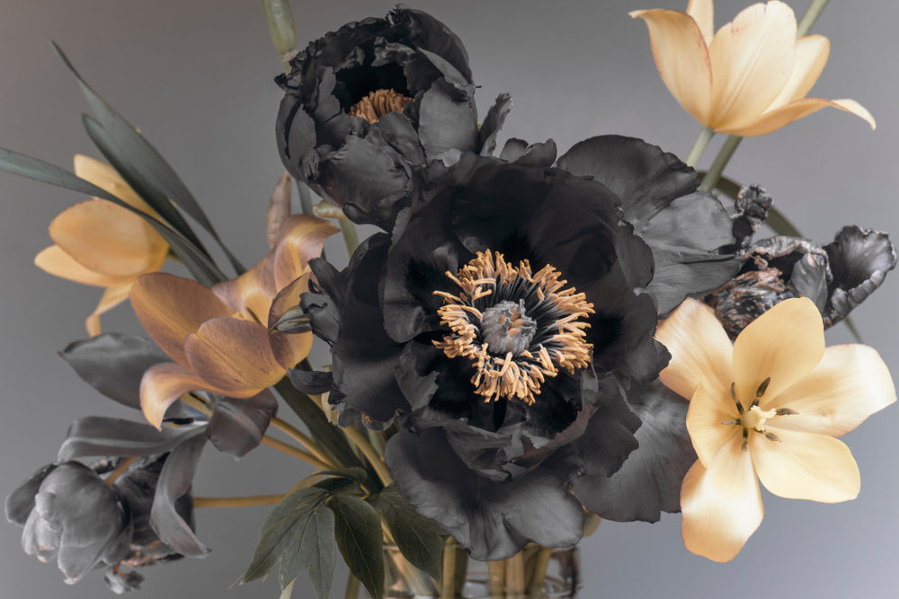 Black & Gold Flowers Photograph Print 100% Australian Made