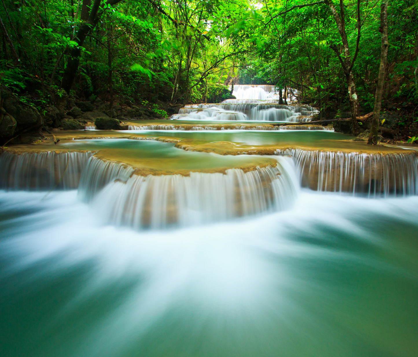 Waterfall in Deep Forest Photograph Print 100% Australian Made