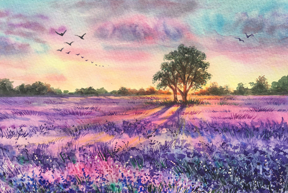Lavender Field Sunset Painting Print 100% Australian Made