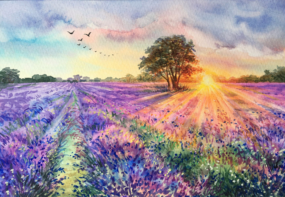 Lavender Field Sunset Painting Print 100% Australian Made