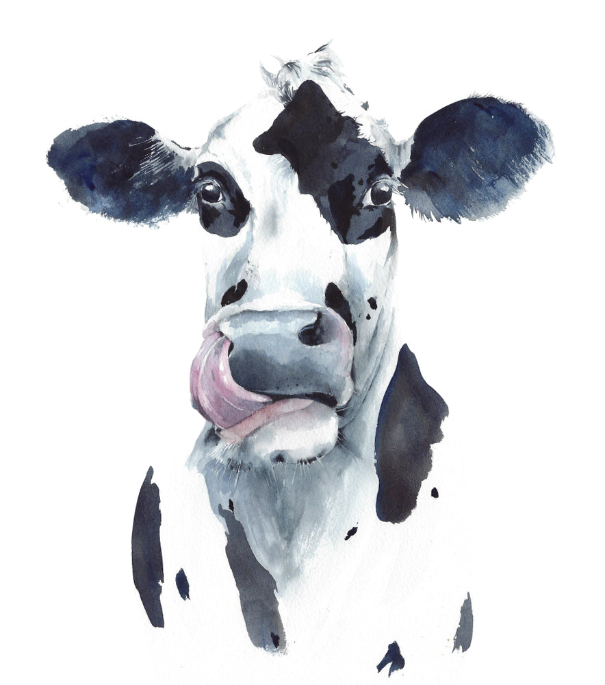 Square Canvas B&W Cow Painting High Quality Print 100% Australian Made