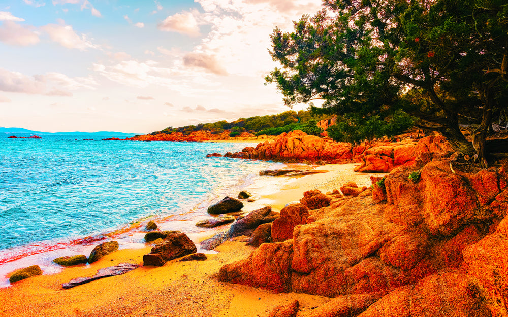 Capriccioli Beach in Costa Smeralda Scenery Photograph Print 100% Australian Made