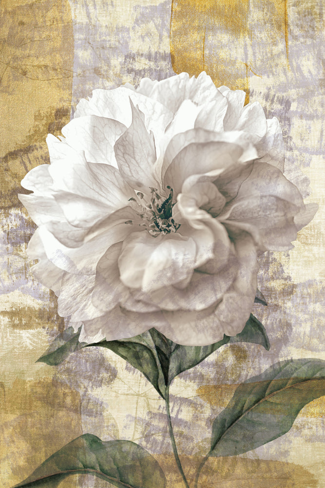 White Flower Watercolor Painting Home Decor Premium Quality Poster Print Choose Your Sizes