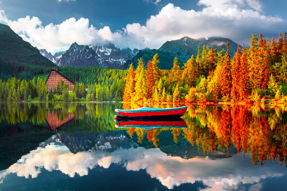 Autumn Forest Near Lake Scenery Photograph Print 100% Australian Made