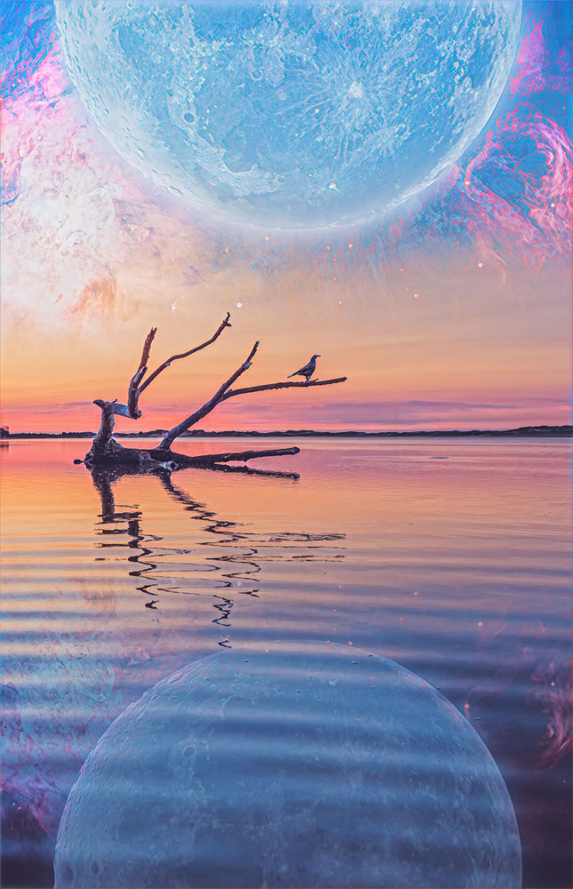 Dead Tree in Lake & Under Moon Sunset Print 100% Australian Made