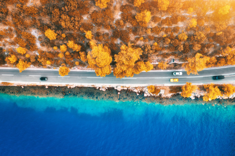 Road , Forest & Sea Aerial View Home Decor Premium Quality Poster Print Choose Your Sizes