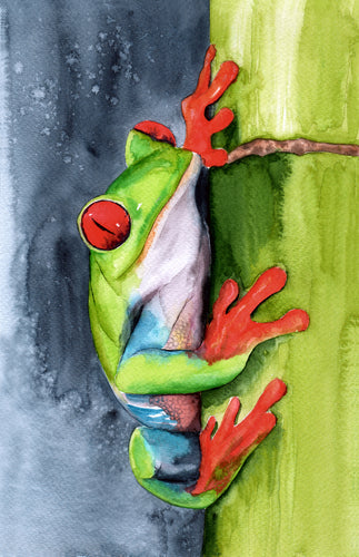 Frog on a Tree Watercolor Painting Print 100% Australian Made