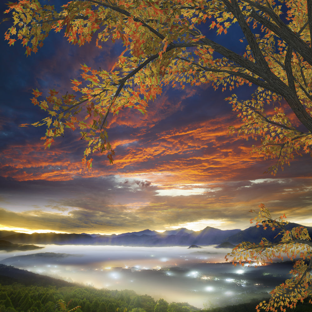 Square Canvas Nature Landscape Scenery Photograph High Quality Print 100% Australian Made