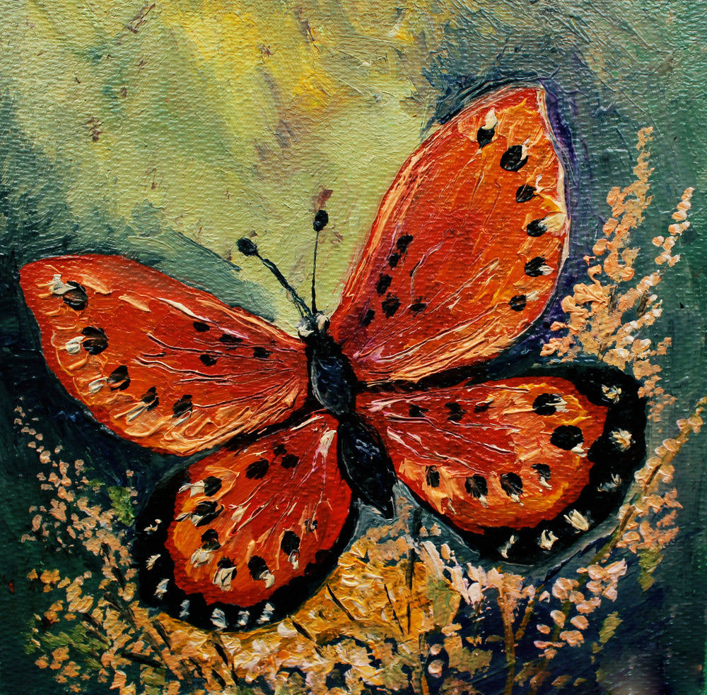 Square Canvas Butterfly Painting High Quality Print 100% Australian Made