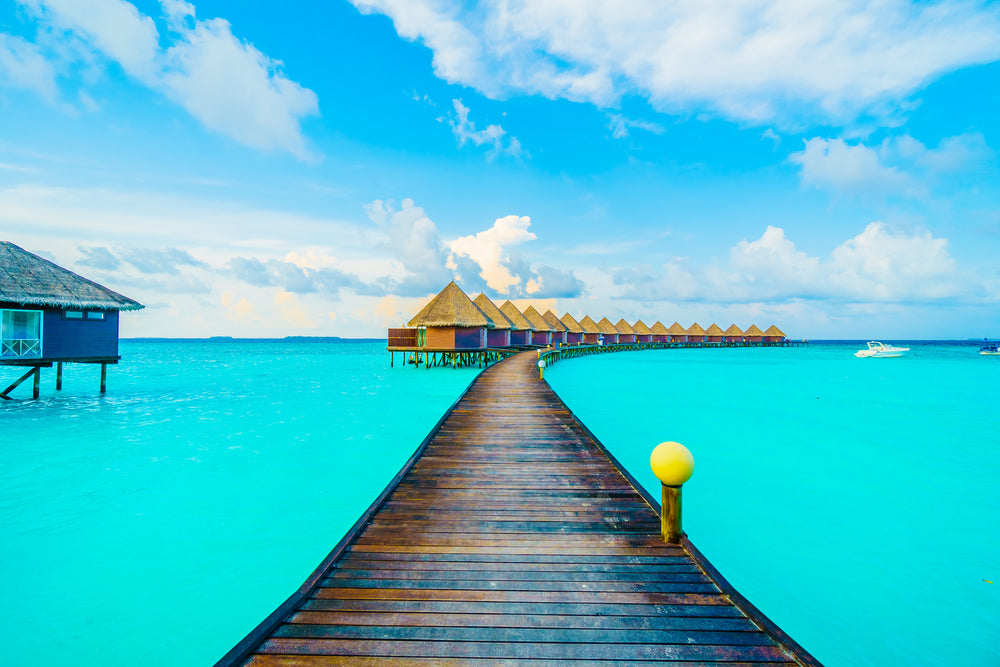 Beautiful Tropical Resort on Pier and Sea View Photograph Print 100% Australian Made