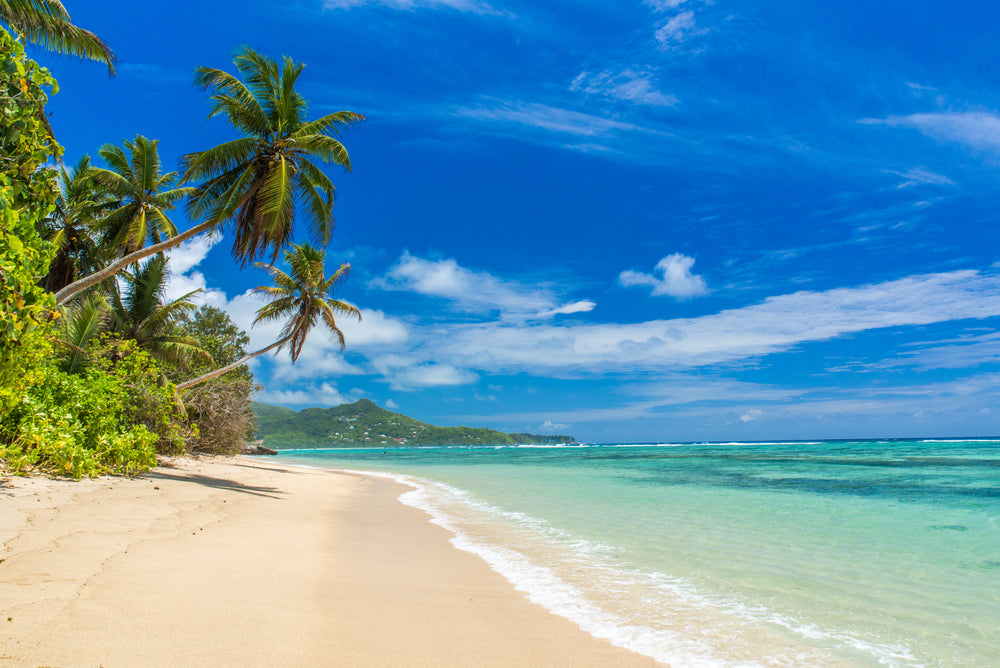 Stunning Beach View Photograph Print 100% Australian Made