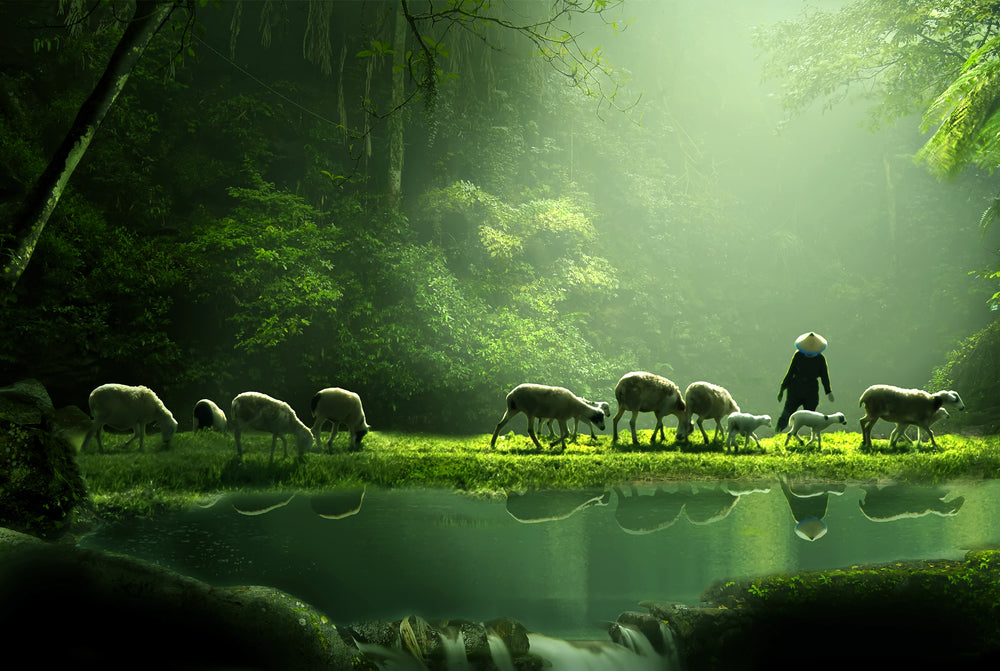 Sheeps & Shepherd in Forest Photograph Home Decor Premium Quality Poster Print Choose Your Sizes