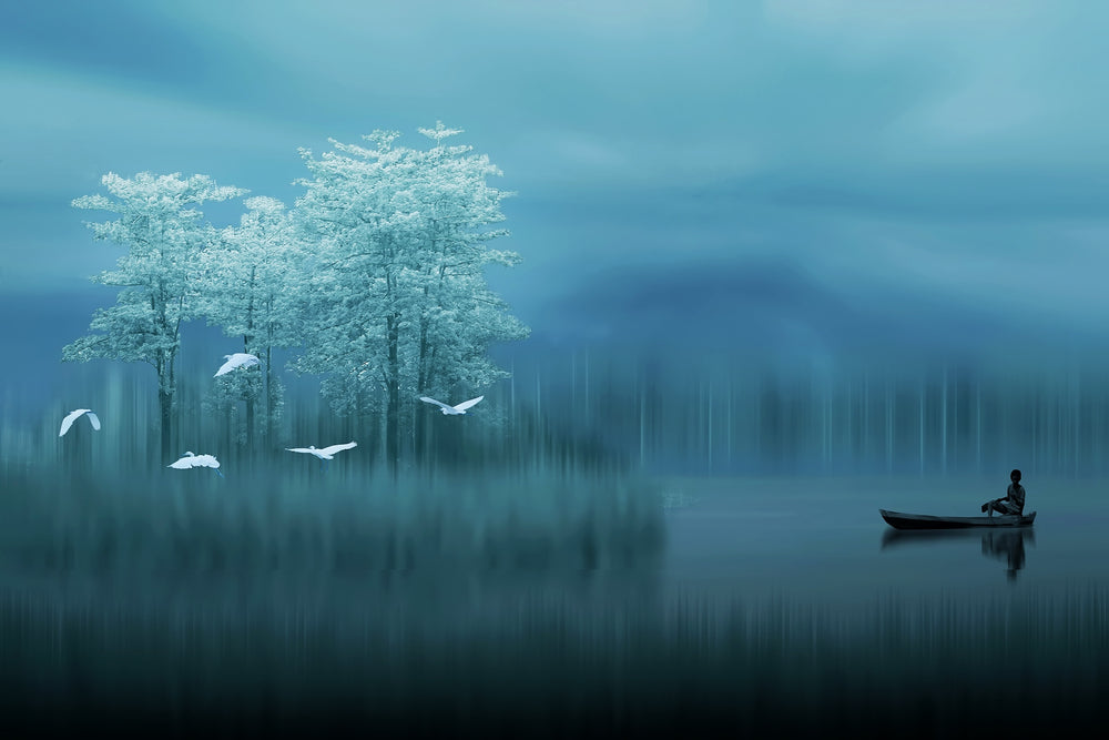 Boat on a Lake Near Forest Photograph Print 100% Australian Made