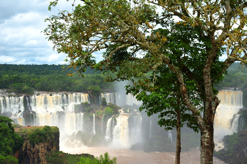 Waterfall Scenery Photograph Print 100% Australian Made