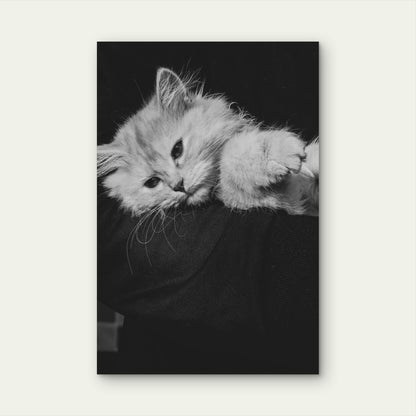 Persian Cat Resting on Dark Surface 60x90cm Metal Print Ready to Hang