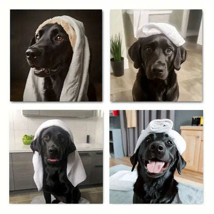 4pcs Fun Black Labrador Bath Tim Wall Art Canvas Framed