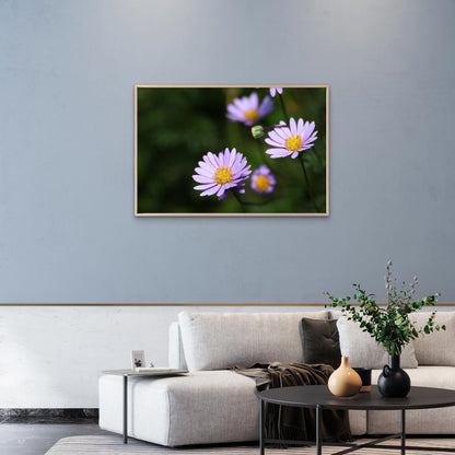 Australian Native Purple Brachyscome Daisy Wall Art Decor 100% Australian Made