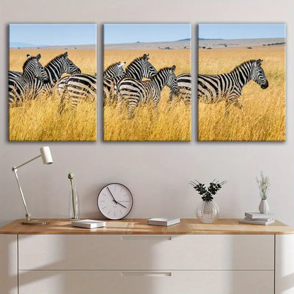 3pcs Black & White Zebra Horse Print Wall Art Set Canvas Framed 50x70cm - High Quality Print 100% Australian Made Wall Canvas Ready to Hang