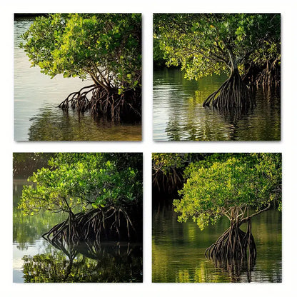 4pcs Mangroves Growing In Swamp Wall Art Canvas Framed