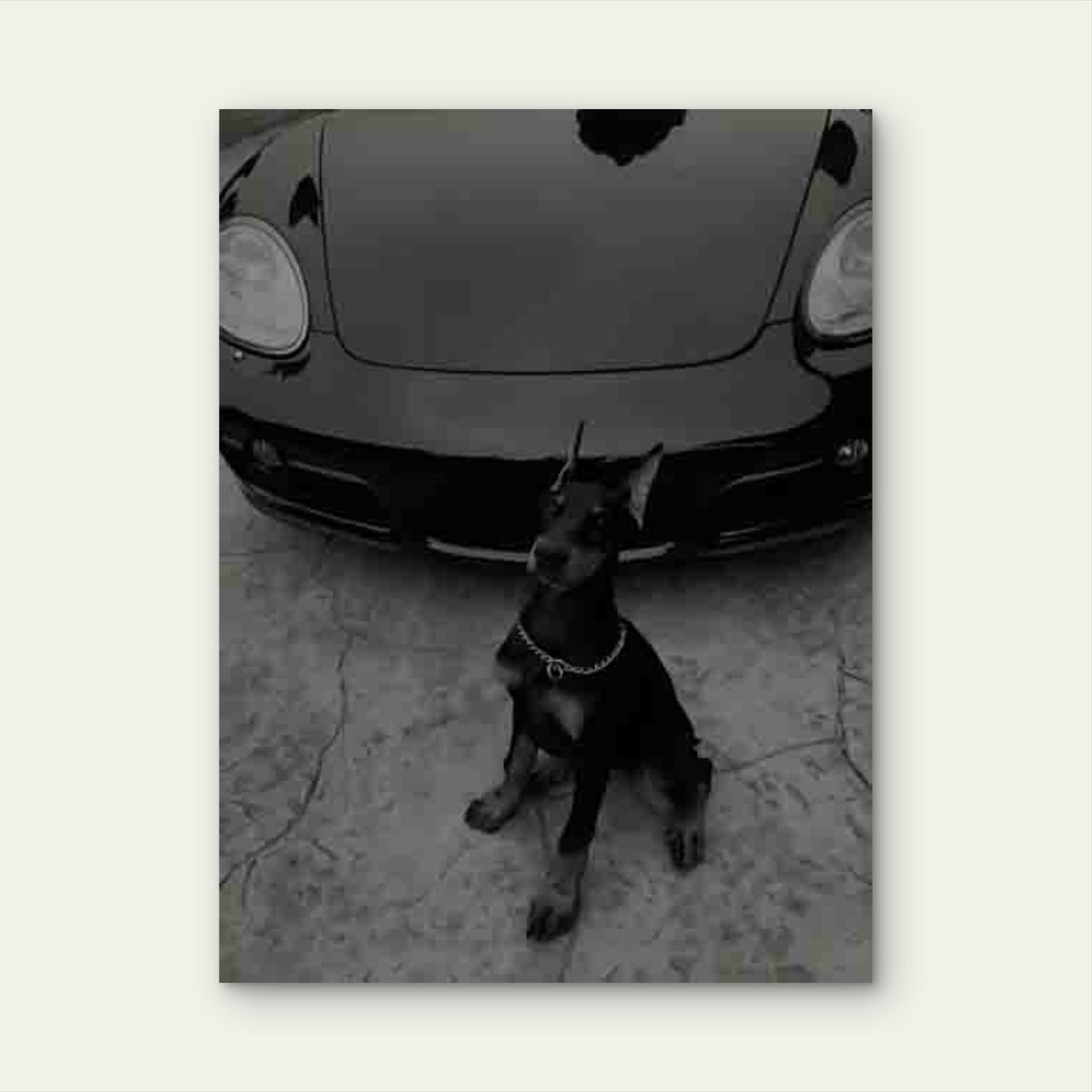 Doberman & Luxury Car 60x90cm Metal Print Ready to Hang