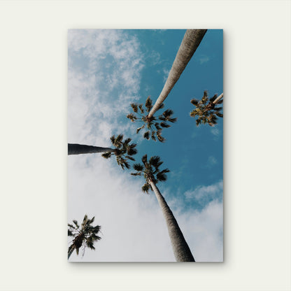 Palm Trees Against A Blue Sky With White Clouds 60x90cm Metal Print Ready to Hang