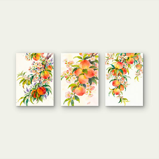 3pcs Watercolor Peach Fruit Branches Blossoms Wall Art Set Canvas Framed 50x70cm- High Quality Print 100% Australian Made Wall Canvas Ready to Hang