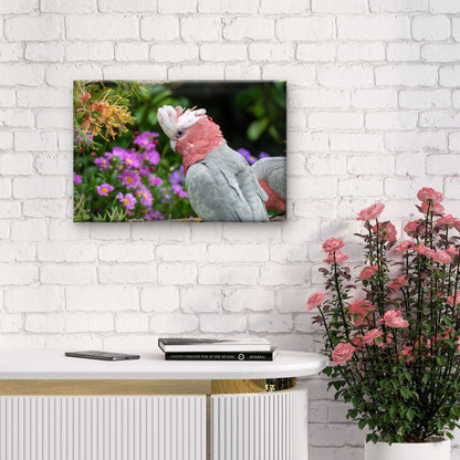 Australian Native Galah Bird Wall Art Decor 100% Australian Made