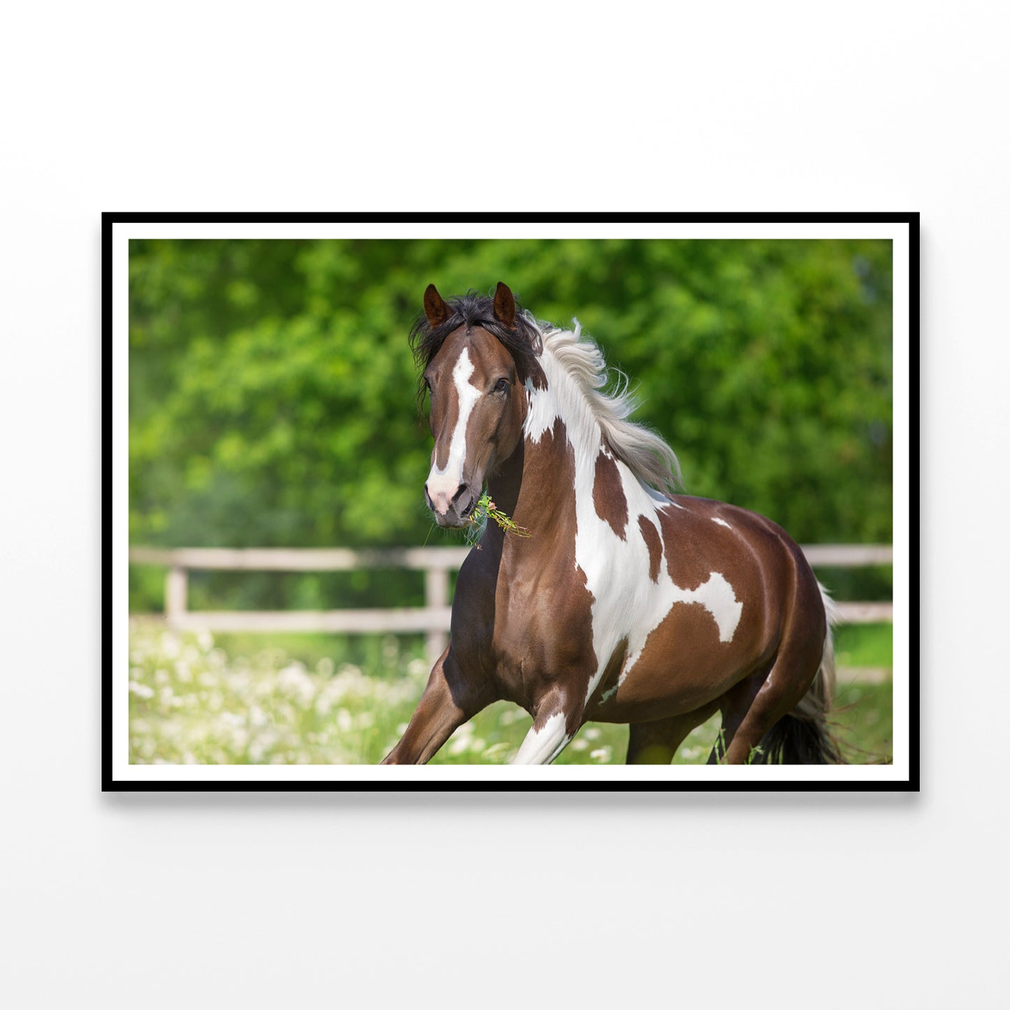 Brown And White Stallion Running Home Decor Premium Quality Poster Print Choose Your Sizes