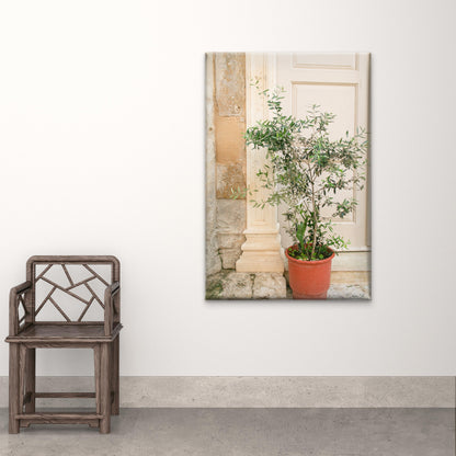 Potted Tree and Classic Architectural Pillars in Italy Wall Art Decor 100% Australian Made