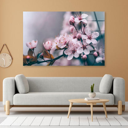 Macro Cherry Blossom Tree Branch  Acrylic Glass Print Tempered Glass Wall Art 100% Made in Australia Ready to Hang