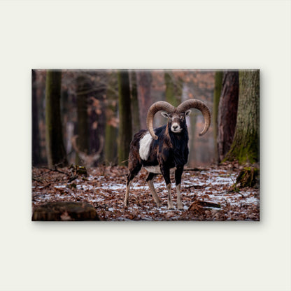 Mouflon Man in the Winter Forest Wall Art Decor 100% Australian Made