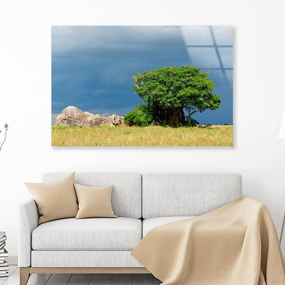 Serengeti National Park Scenery Tanzania Africa Acrylic Glass Print Tempered Glass Wall Art 100% Made in Australia Ready to Hang