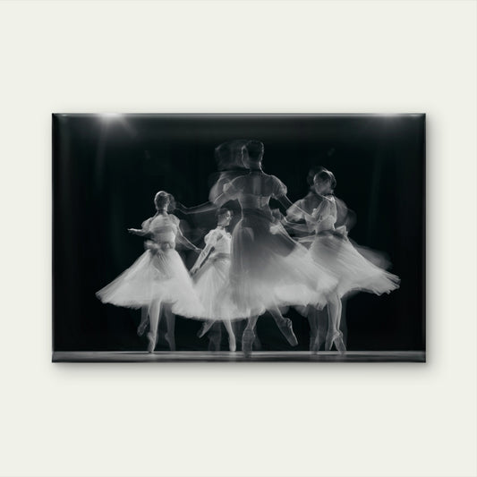 Motion Blur Ballet Dancers Wall Art Decor 100% Australian Made