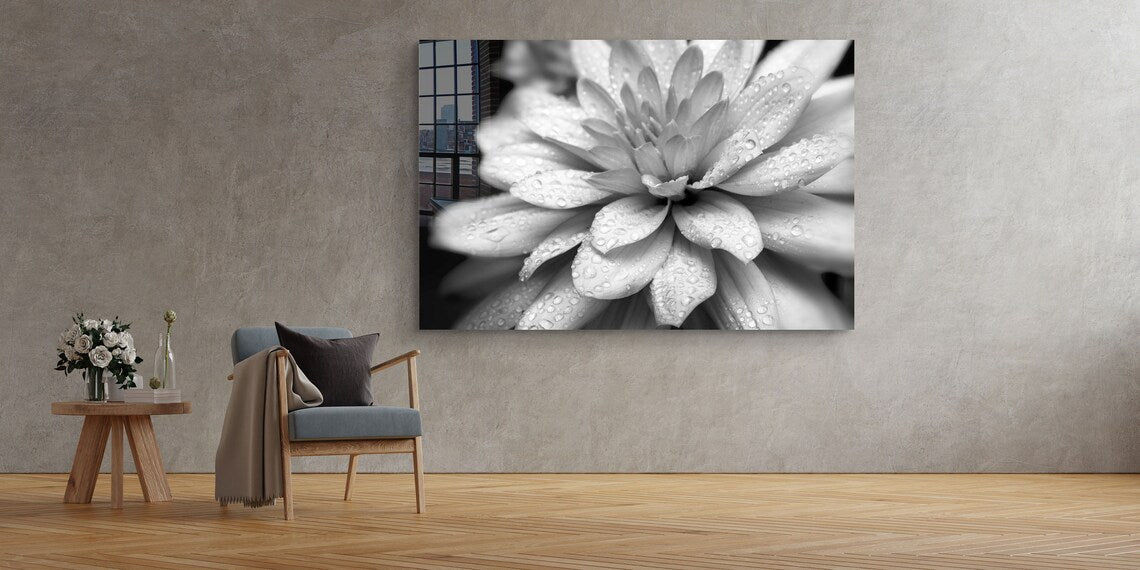 Lotus Flower B&W View UV Direct Aluminum Print Australian Made Quality