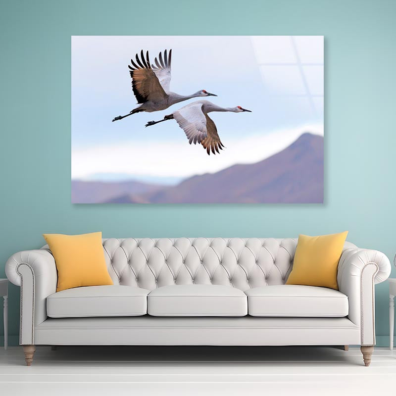 Flying Cranes Mountain Sky View Acrylic Glass Print Tempered Glass Wall Art 100% Made in Australia Ready to Hang