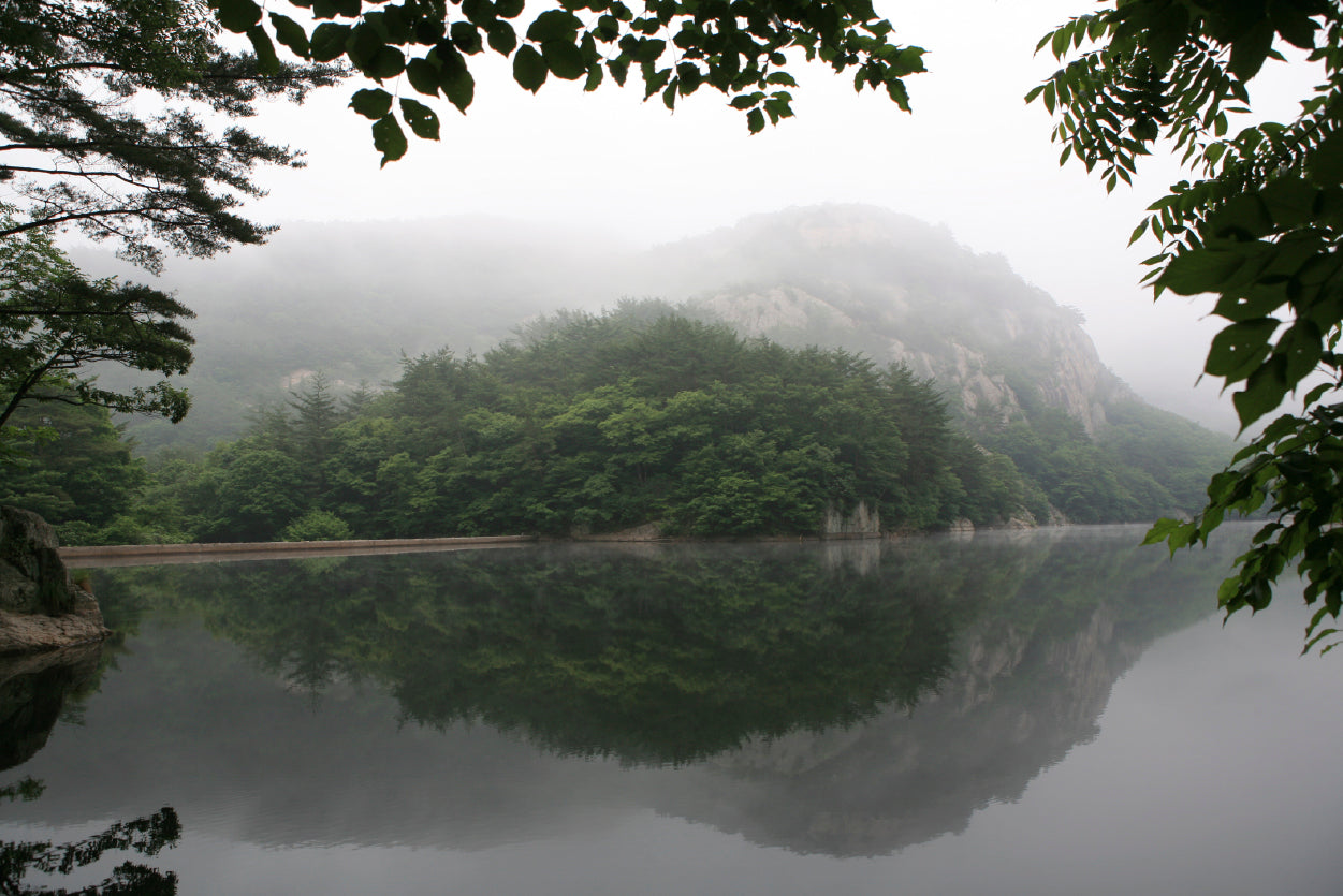 View of Morning on the Lake with Mountains Home Decor Premium Quality Poster Print Choose Your Sizes