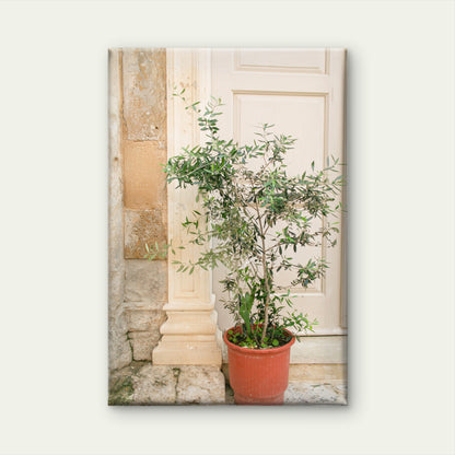 Potted Tree and Classic Architectural Pillars in Italy Wall Art Decor 100% Australian Made