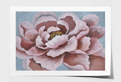 Flowers, Pink, Elegant, Fresh, Peony Wall Art Limited Edition High Quality Print